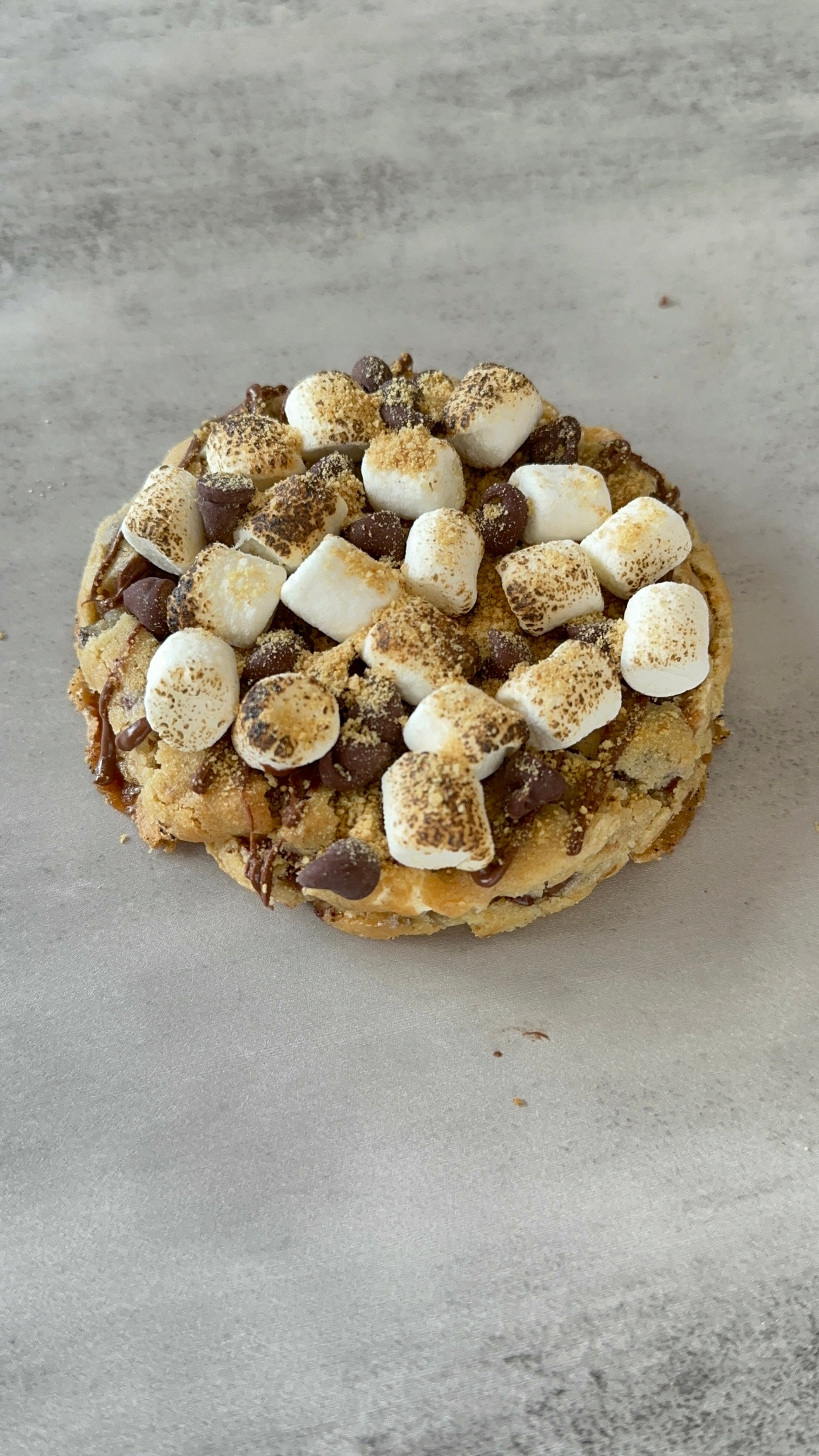 Giant Luxurious Cookies